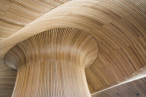 Interior details of the Welsh Assembly Building